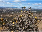 Montezuma Pass