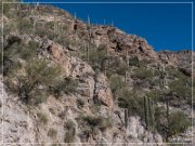 Sky Island Scenic Byway