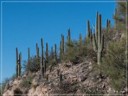 Sky Island Scenic Byway