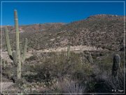Sky Island Scenic Byway
