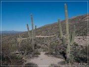Sky Island Scenic Byway