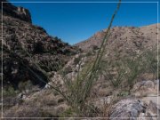 Sky Island Scenic Byway