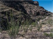 Sky Island Scenic Byway