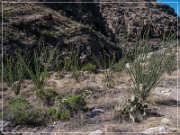 Sky Island Scenic Byway