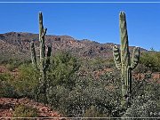 theodore_roosevelt_lake_03