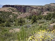 Desert to Tall Pines Scenic Road
