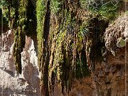 Tonto Natural Bridge SP