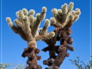 Agua Caliente Scenic Backroad