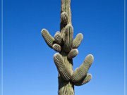 Agua Caliente Scenic Backroad
