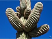 Agua Caliente Scenic Backroad