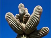 Agua Caliente Scenic Backroad
