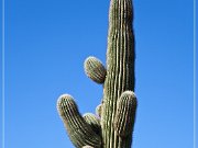 Agua Caliente Scenic Backroad
