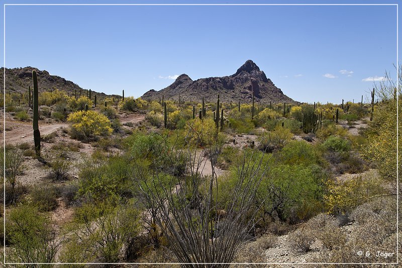 ajo_scenic_loop_04.jpg