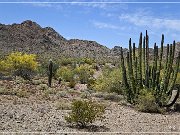 Ajo Scenic Loop
