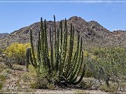 Ajo Scenic Loop