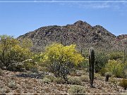Ajo Scenic Loop