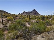 Ajo Scenic Loop