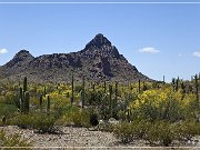 Ajo Scenic Loop