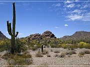 Ajo Scenic Loop