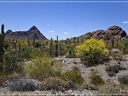Ajo Scenic Loop