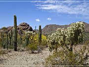Ajo Scenic Loop