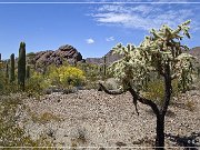 Ajo Scenic Loop
