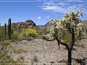 ajo_scenic_loop_10