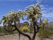 Ajo Scenic Loop