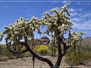 ajo_scenic_loop_11