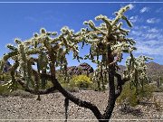 Ajo Scenic Loop