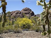 Ajo Scenic Loop