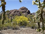 ajo_scenic_loop_13