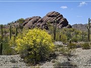 Ajo Scenic Loop