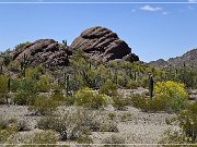 Ajo Scenic Loop