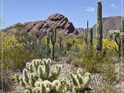 Ajo Scenic Loop
