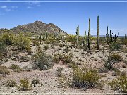 Ajo Scenic Loop