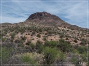 Castle Hot Springs Road