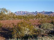 KOFA - Mines