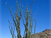 KOFA - Mines