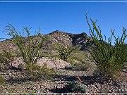 KOFA - Mines