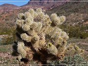KOFA - Mines
