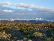 KOFA - Palm Canyon