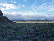 KOFA - Palm Canyon