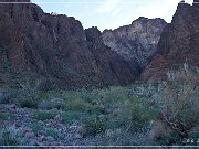 KOFA - Palm Canyon