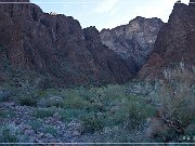 kofa_palm_canyon_03