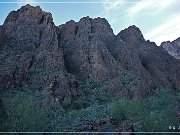 KOFA - Palm Canyon