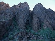 kofa_palm_canyon_08