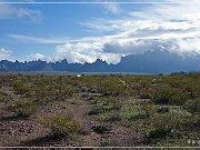 KOFA - Palm Canyon