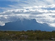 KOFA - Palm Canyon