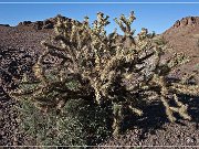 Painted Desert Trail